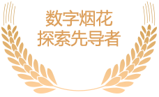 數(shù)字煙花探索先導(dǎo)者